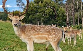 Wally'S Edge 20Acre Farm Stay